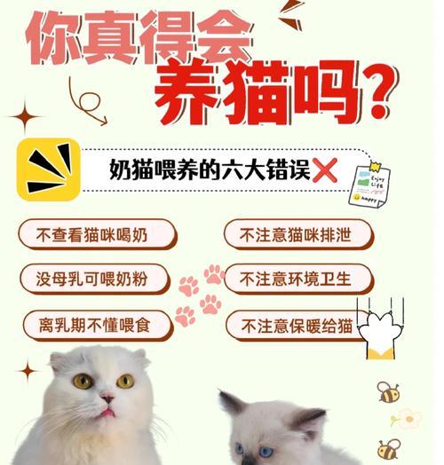 断奶后的奶猫该吃什么？（为你的奶猫提供正确的饮食。）