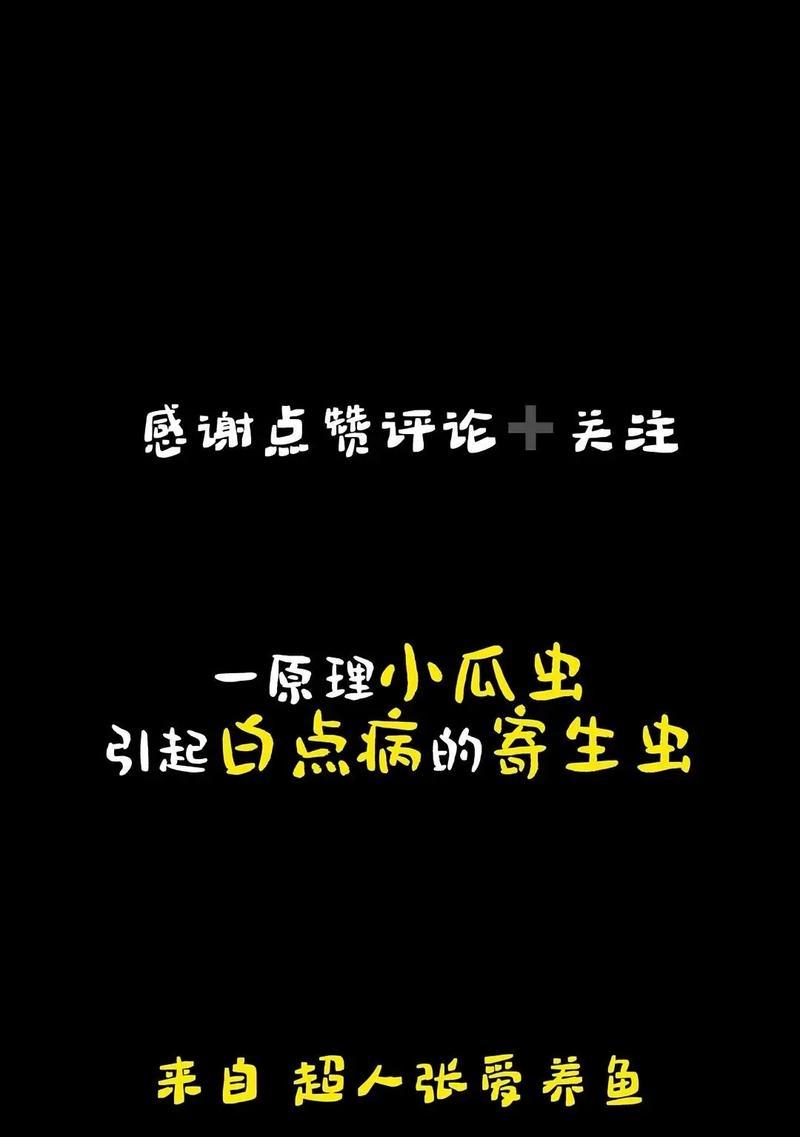 观赏鱼病诊断及用药指南（几种行之有效的方法，快速见效）