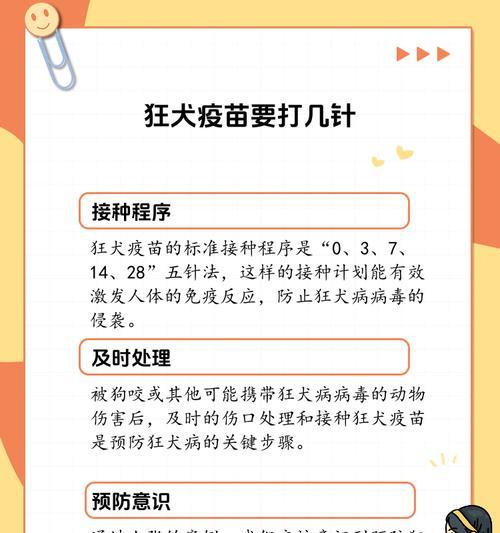 成年狗狗需要打哪些针？（保护宠物健康，成年狗狗需接种多种疫苗）