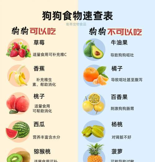 狗狗的健康零食——6种最适合狗狗吃的水果（让你的狗狗拥有健康美味的水果盛宴）