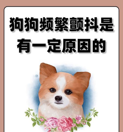 狗狗疾病（以哪些疾病会导致狗狗可能死亡？解读15个关键疾病）