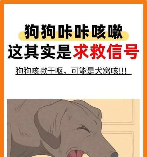狗狗咳嗽的不必过度担心（对症下药是关键，了解咳嗽症状并寻求适当的治疗）