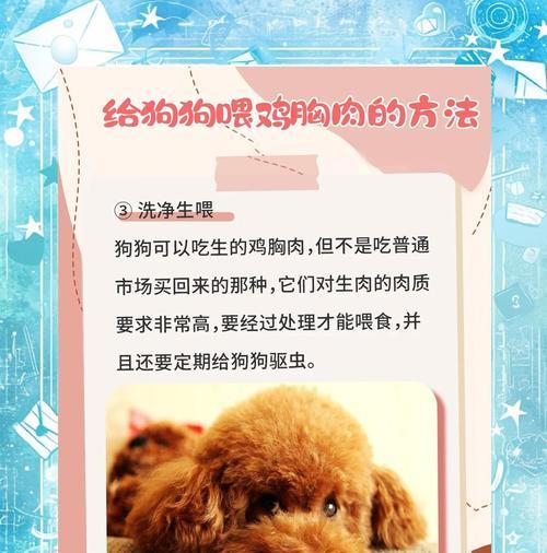 狗吃了鸡骨，观察多久才能确定是否出现健康问题？（鸡骨消化周期、相关风险和预防措施）