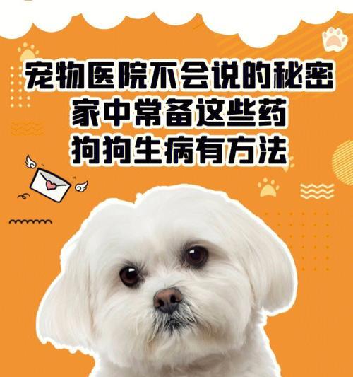 宠物医院的高额费用，家中常备这些药能省很多钱（急需药品备齐，掌握关键药品清单，节约开支）