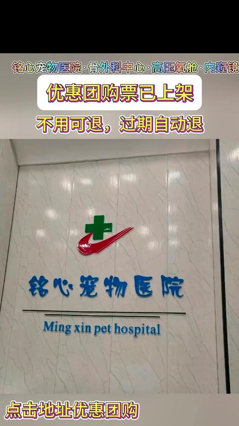 探索附近狗医院的设施和服务（了解一家狗医院提供的一切，从健康检查到治疗服务）