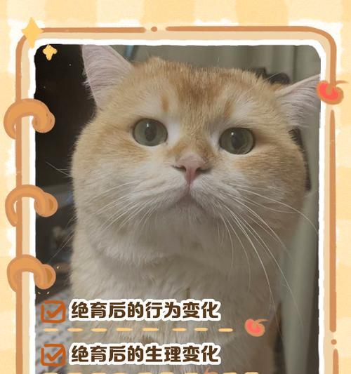 公猫咪绝育恢复时间（了解公猫咪绝育手术的恢复过程及注意事项）