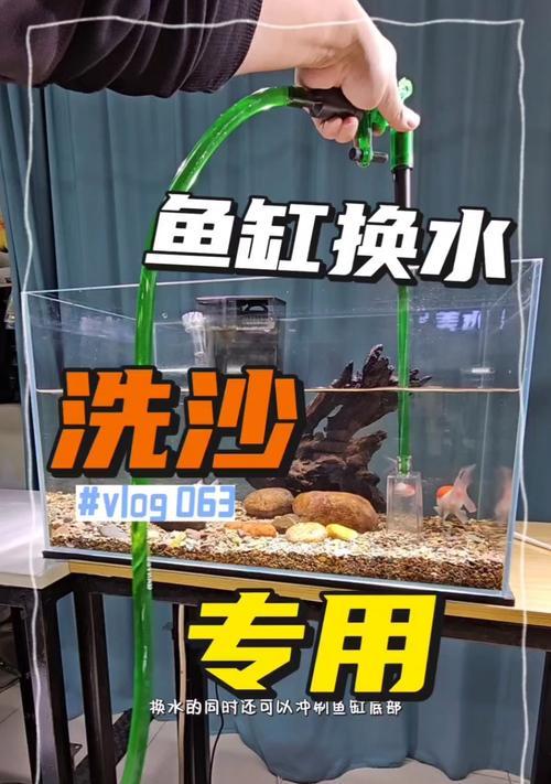 热带鱼缸水的更换频率及注意事项（热带鱼缸水的换水时间和方法，让你的鱼儿健康快乐）