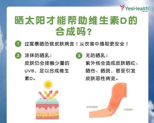 狗狗是否需要晒太阳？（探讨狗狗晒太阳对补偿维生素D的有效性）