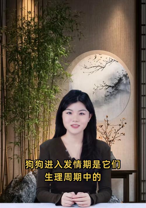 狗狗大姨妈