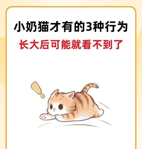 奶猫的生长过程（探究奶猫的生长周期及关键成长阶段）