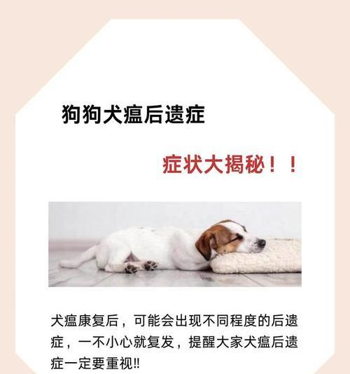 狗狗得犬瘟热的症状及预防措施（了解犬瘟热，保护我们的忠实伙伴）