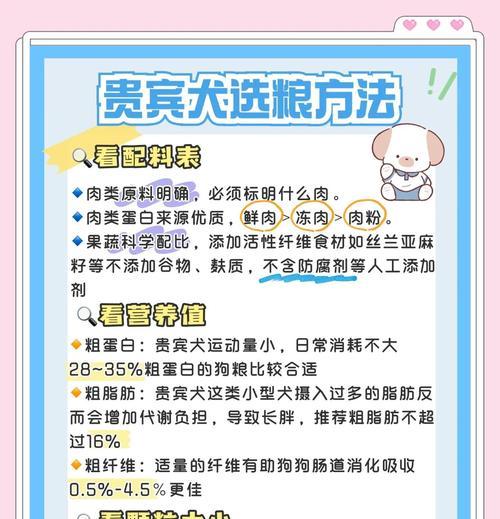 泰迪妈妈如何合理喂养新生宝宝（掌握泰迪宝宝的喂奶技巧，让他们健康成长）
