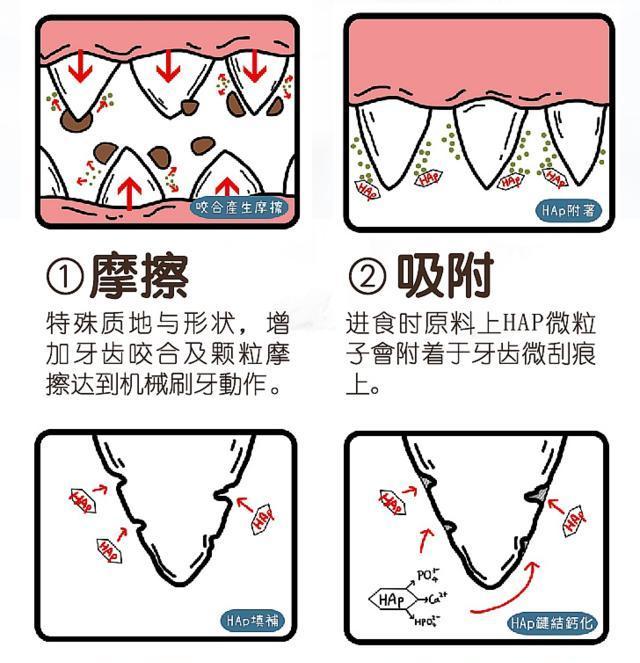 猫咪口腔健康（四个月的小猫口臭，让主人头疼不已）