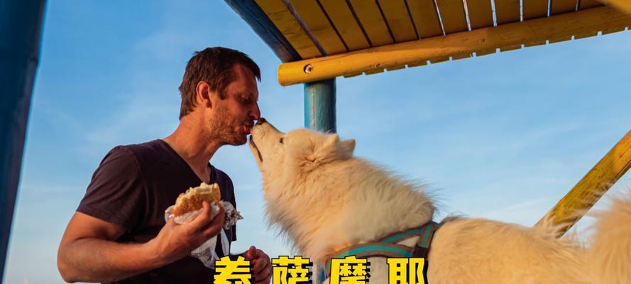 萨摩耶常见疾病及预防措施（了解萨摩耶常见疾病，守护爱宠健康）