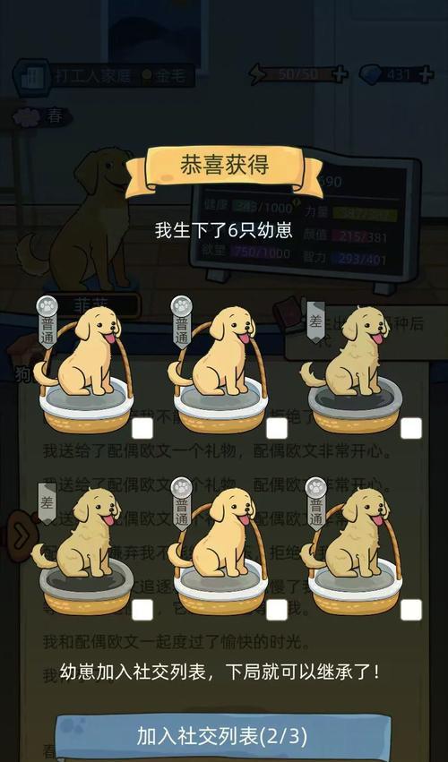 狗的繁殖周期及生产间隔时间（了解狗繁殖周期，掌握繁殖计划，关注健康繁殖）