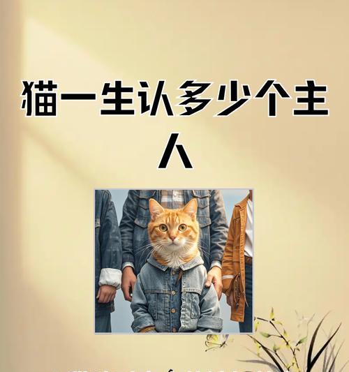新猫认主人需要多长时间？（揭秘新猫认主人的过程及时间预估）