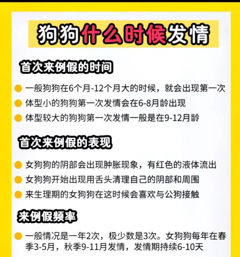 狗狗大姨妈周期的探究（解析狗狗生理周期及注意事项）