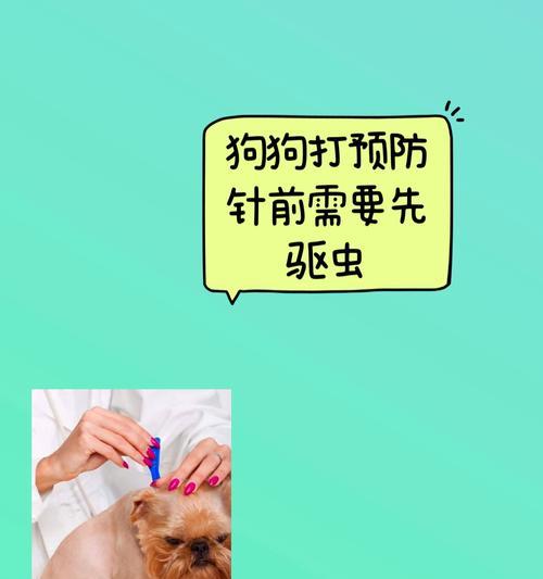 狗狗回家后多久可以打疫苗？（疫苗接种时间表和重要事项）