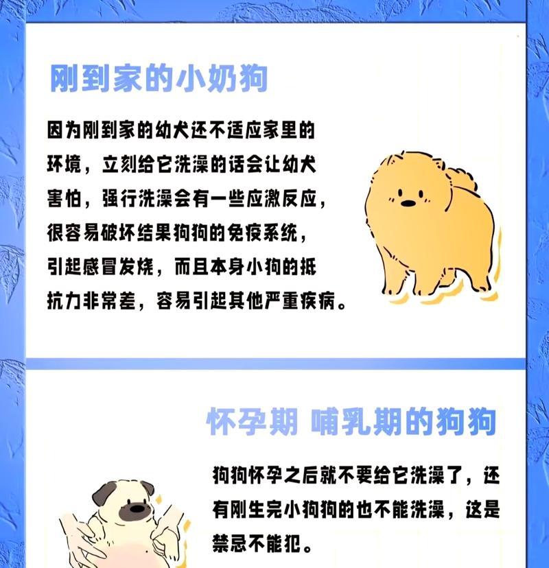 小狗洗澡的最佳时机（为你的小狗选择合适的洗澡时间和频率）
