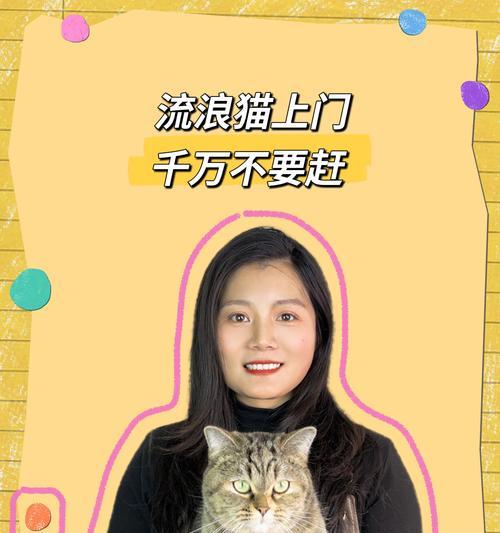 辨别流浪猫和野猫的区别（怎么判断是不是流浪猫）