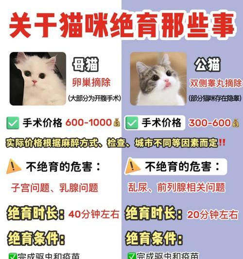 猫咪绝育手术的最佳时间（细数猫咪绝育手术的最佳年龄段）