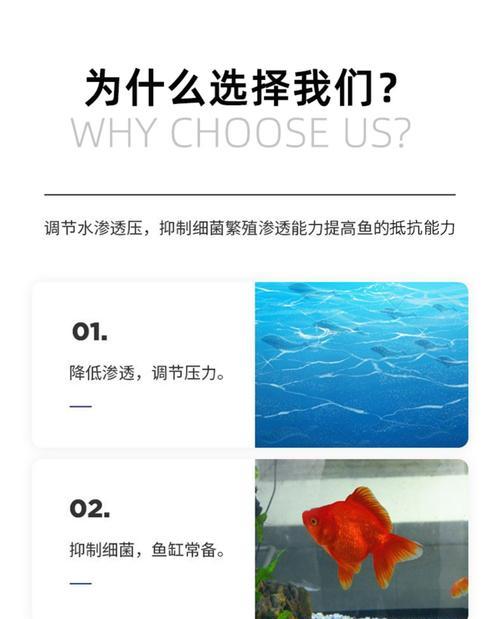 以锦鲤多久杀虫杀菌一次（探讨锦鲤养殖中的杀虫杀菌频率及方法）