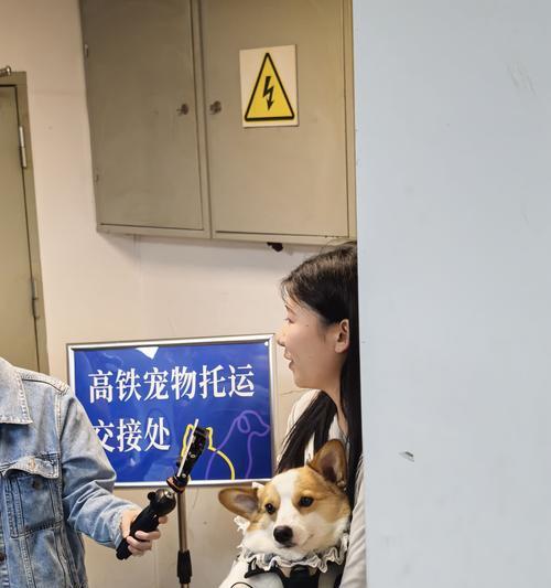 托运宠物的取件时间（了解宠物托运后多久能够取件，合理安排行程）