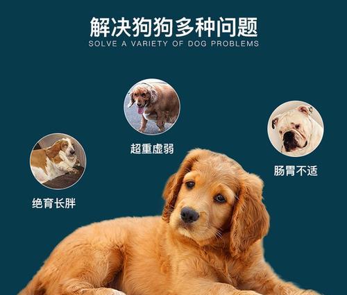 阿拉斯加补钙时间间隔及注意事项（探讨合理的阿拉斯加补钙周期，让你的骨骼更健康）