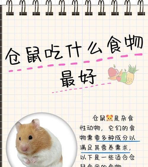 布丁仓鼠的食物喜好与危害性解析（了解布丁仓鼠的饮食习惯和食物禁忌，保持宠物健康成长）