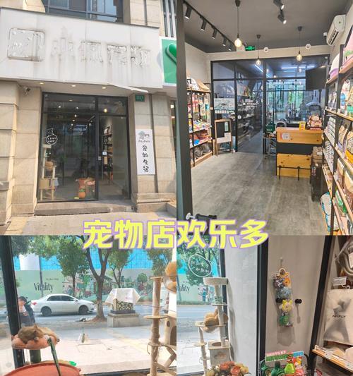宠物店设备的必备之物（打造舒适便捷的宠物购物环境）