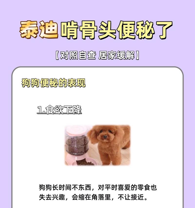 错误喂养泰迪的方式将缩短寿命（如何正确喂养泰迪，延长它们的寿命）