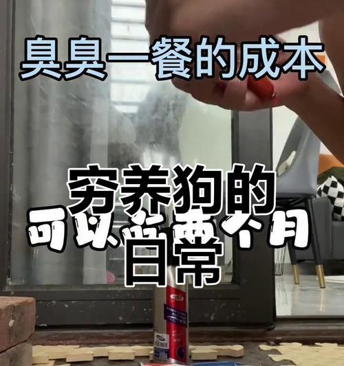狗狗不吃狗粮怎么办？15个实用方法帮你解决问题（当你的狗狗饿到吐，如何帮助它恢复正常的饮食习惯？）