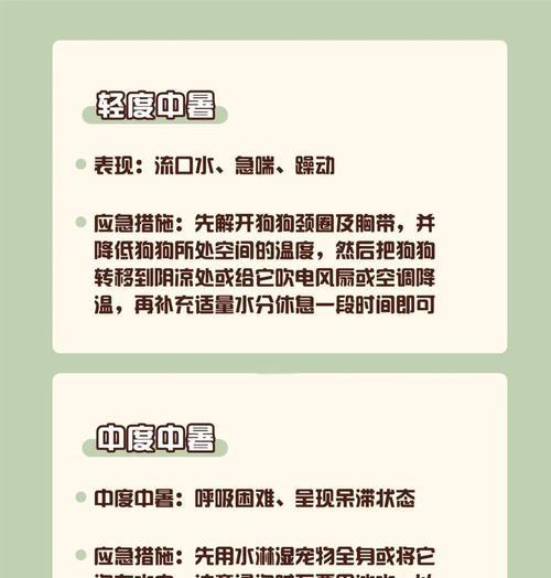 夏日遛狗要小心，预防狗狗中暑（宠物狗在高温天气下容易中暑，主人需注意遛狗细节）
