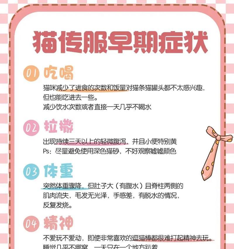 了解猫传腹及预防措施（保护你的爱猫远离猫传腹的威胁）