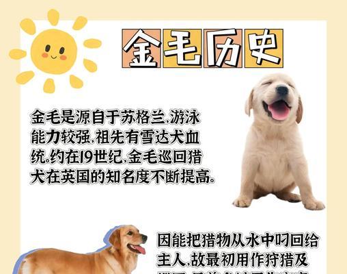 小金毛掉毛的周期和原因（了解小金毛掉毛周期，让毛发更健康）