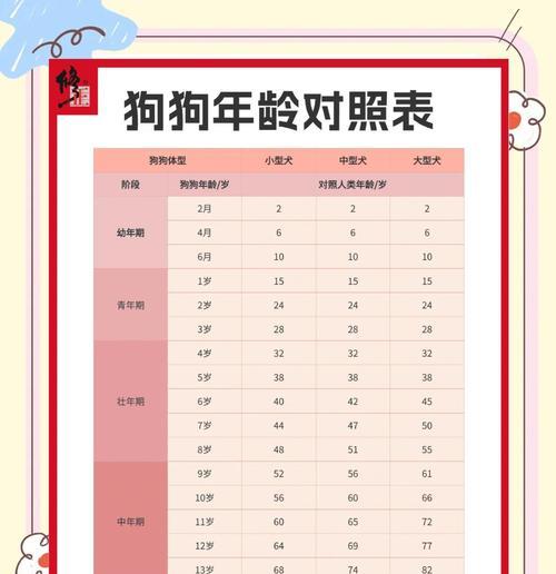 狗狗体重是否符合标准型？（了解体重对照表，判断狗狗的健康状况）