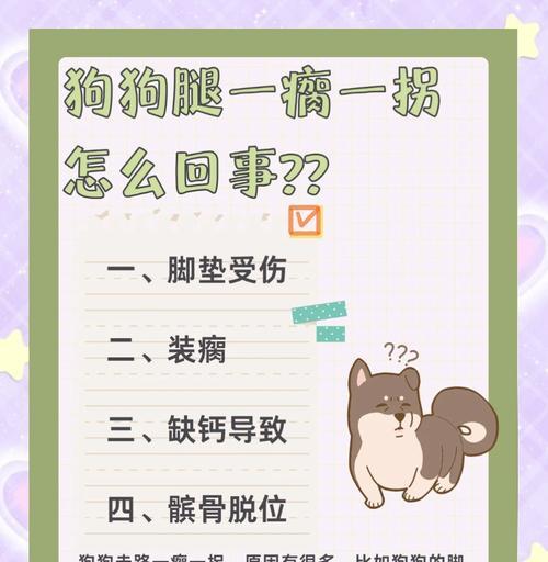 狗瘸了一只脚，需要多久恢复？（探索狗脚部受伤的康复过程）