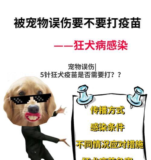 宠物犬打针的时间间隔（探索宠物犬接种疫苗的最佳时间）
