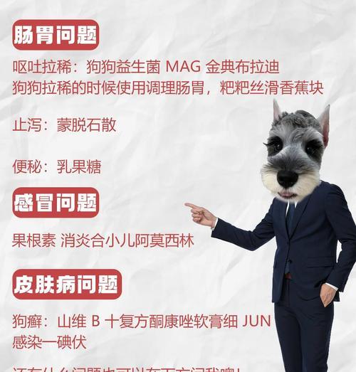 宠物医院不会告诉你的家中常备药，宠物再也不怕生病！（保护宠物健康的秘密药箱，给宠物家庭带来安心）