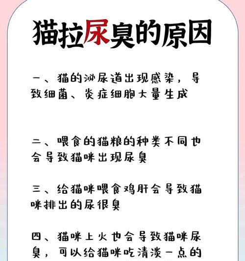 猫咪多久不排尿会有问题？（了解猫咪排尿间隔的重要性）