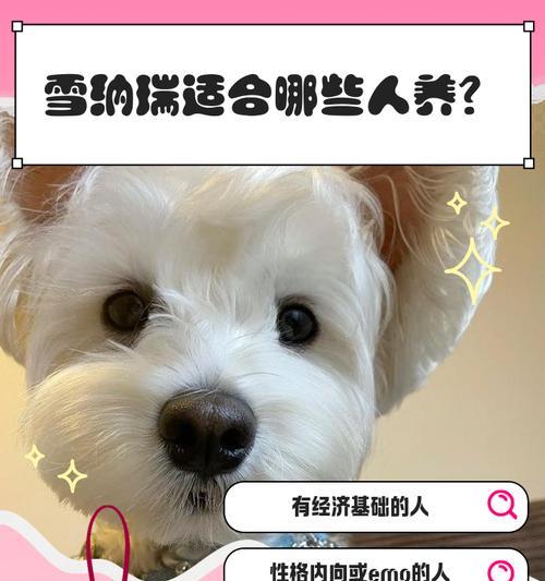 以雪拉瑞为主题的水果盛宴（探索雪拉瑞世界的美味多样性）
