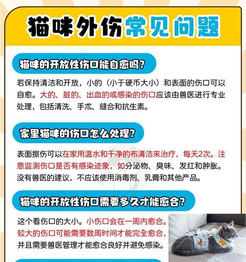 猫受伤毛要多久才能恢复？（详解猫毛伤口愈合时间及恢复过程）