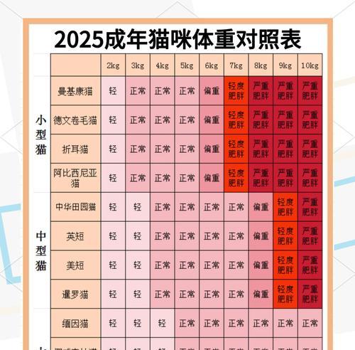猫咪何时开始长胖？（控制猫咪体重的关键是什么？）