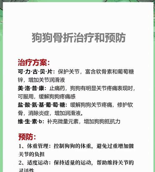 狗狗骨折后的康复训练时间及注意事项（狗狗康复训练的关键）