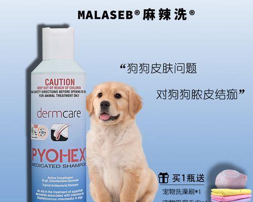 猫咪洗澡，多久洗一次才合适？（猫咪洗澡频率的关键是什么？）