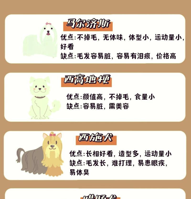 金毛犬太胖怎么办？（控制喂食量，让金毛恢复健康）