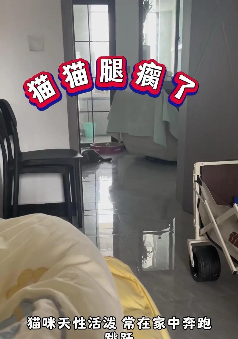 猫突然瘸了，怎么回事？（了解猫的突然瘸痛和判断伤势的方法）