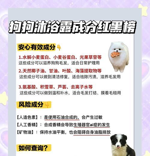 狗狗冲凉频率（了解适合你的狗狗的冲凉频率和注意事项）