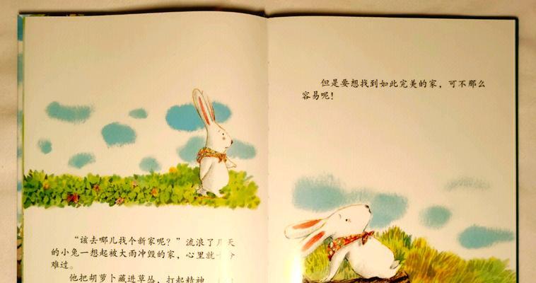 兔兔外出散步，带你一起玩得开心（手把手教你如何安全、愉快地带小兔子出去玩耍）
