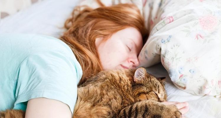 猫与主人的感情建立时间究竟有多久？（探索猫咪与主人建立感情的时间线和关键因素）